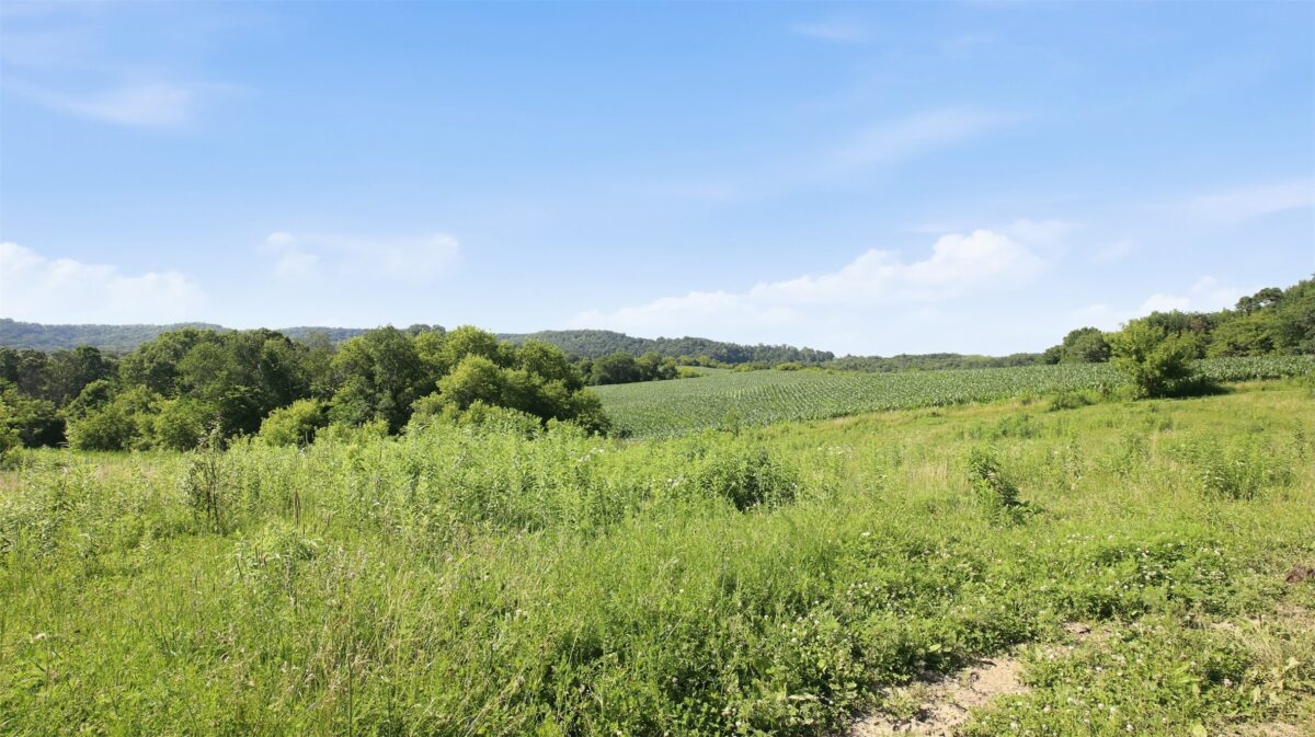 N44681 Hawkenson Valley Road, Eleva WI 54738 - Residential house for sale - MLS #1602782 - image42