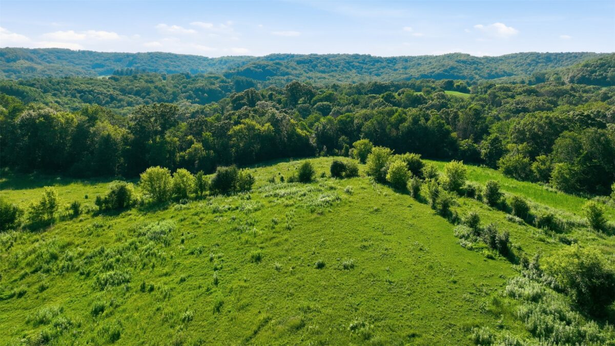 N44681 Hawkenson Valley Road, Eleva WI 54738 - Residential house for sale - MLS #1602782 - image46