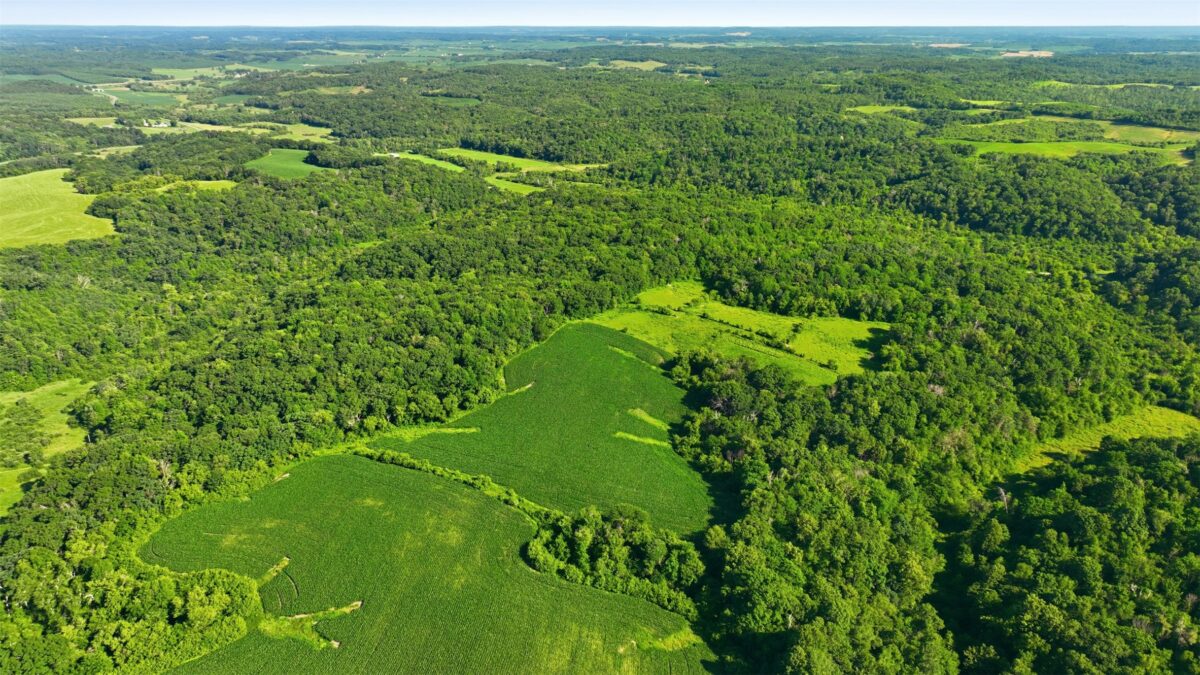 N44681 Hawkenson Valley Road, Eleva WI 54738 - Residential house for sale - MLS #1602782 - image51