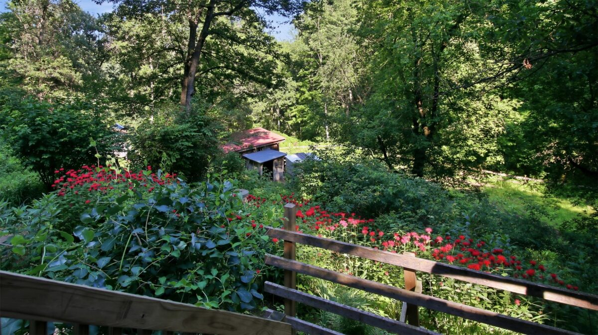 N44681 Hawkenson Valley Road, Eleva WI 54738 - Residential house for sale - MLS #1602782 - image7