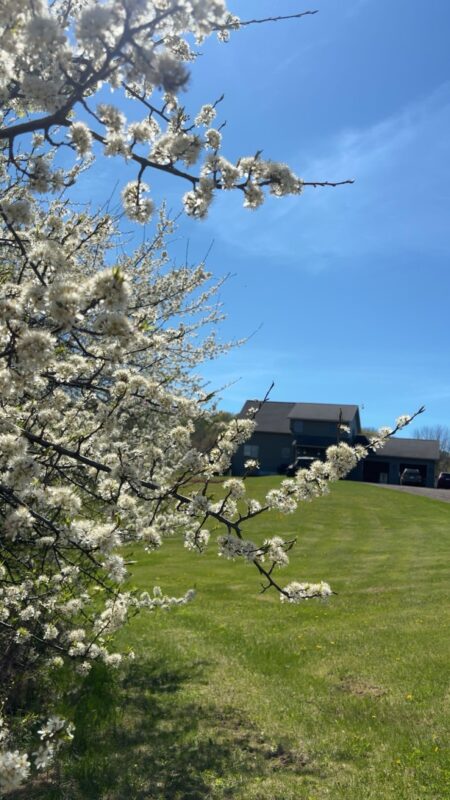 N5063 240th Street, Menomonie WI 54751 - Residential house for sale - MLS #1600868 - image42
