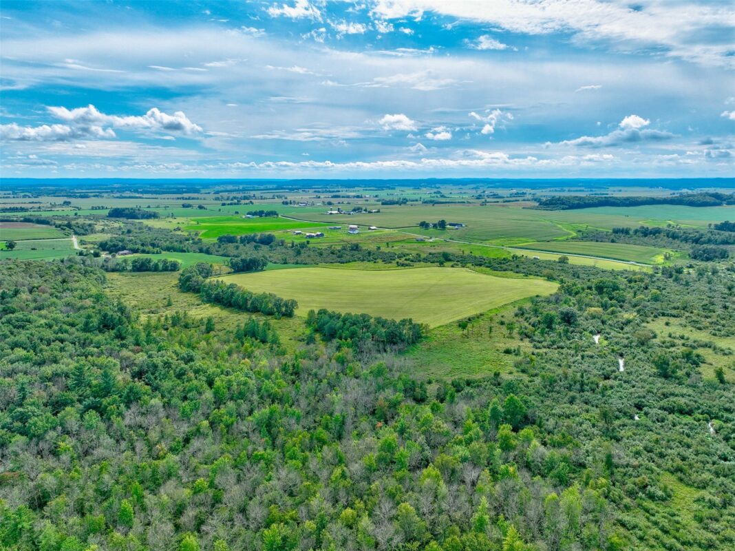 N5314 765th Street, Elk Mound WI 54739 - Land house for sale - MLS #1603715 - image10