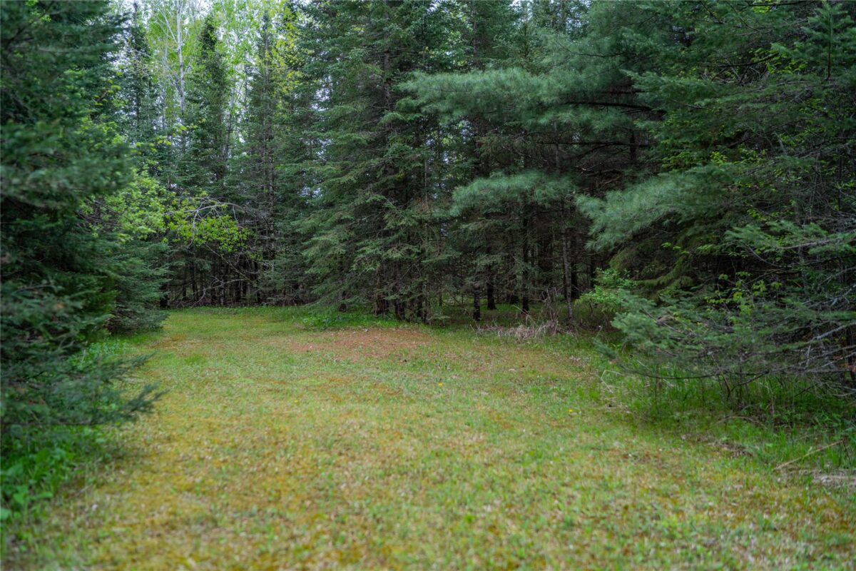 N6481 Candy Drive, Hawkins WI 54530 - Land house for sale - MLS #1601336 - image12