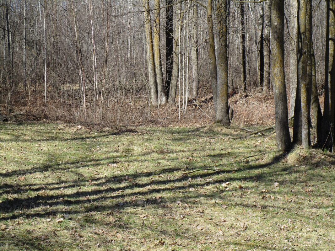 N7110 Hackett Road, Hawkins WI 54530 - Land house for sale - MLS #1600843 - image11