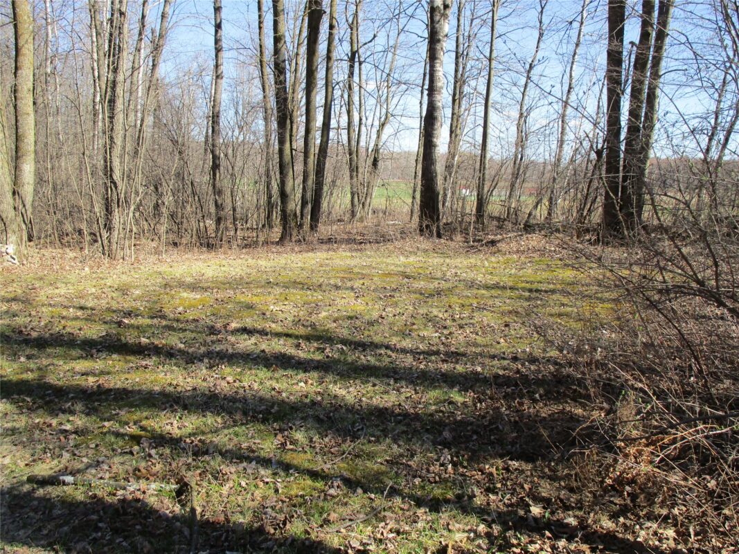 N7110 Hackett Road, Hawkins WI 54530 - Land house for sale - MLS #1600843 - image12