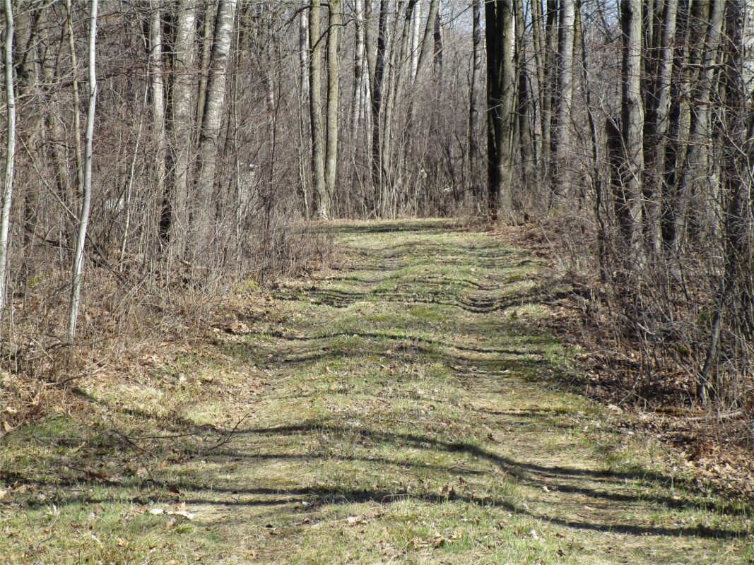 N7110 Hackett Road, Hawkins WI 54530 - Land house for sale - MLS #1600843 - image10