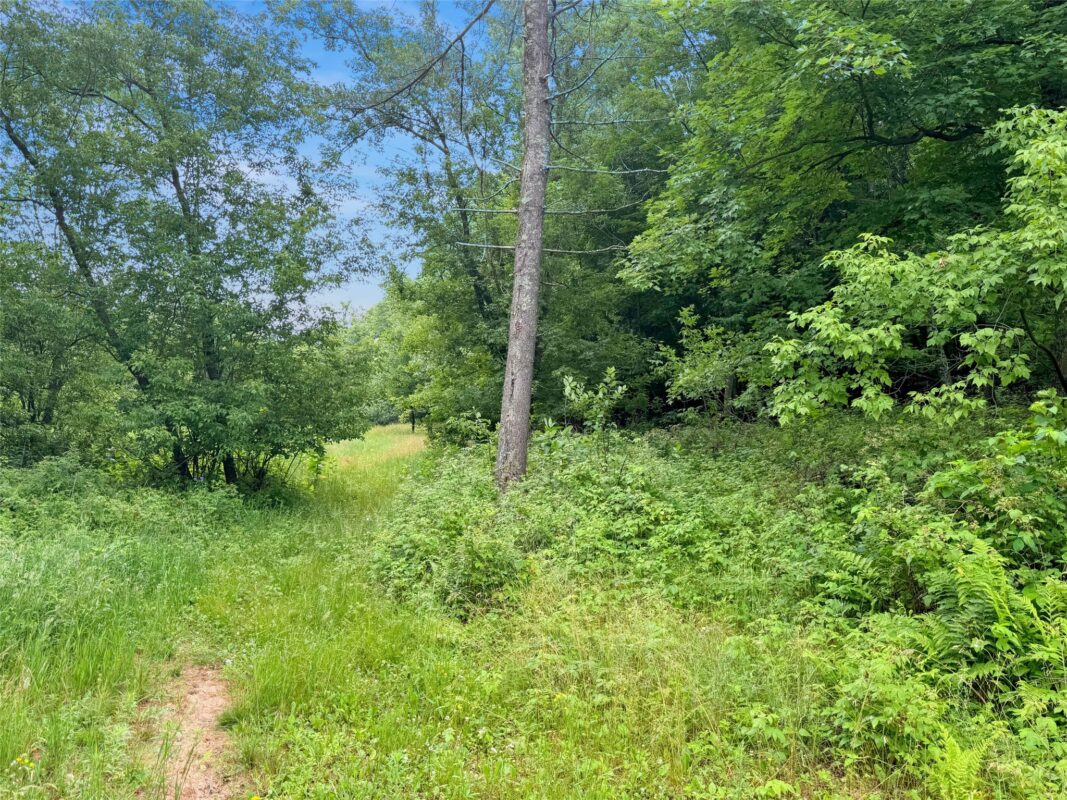N8188 954th Street, Colfax WI 54730 - Land house for sale - MLS #1602761 - image11