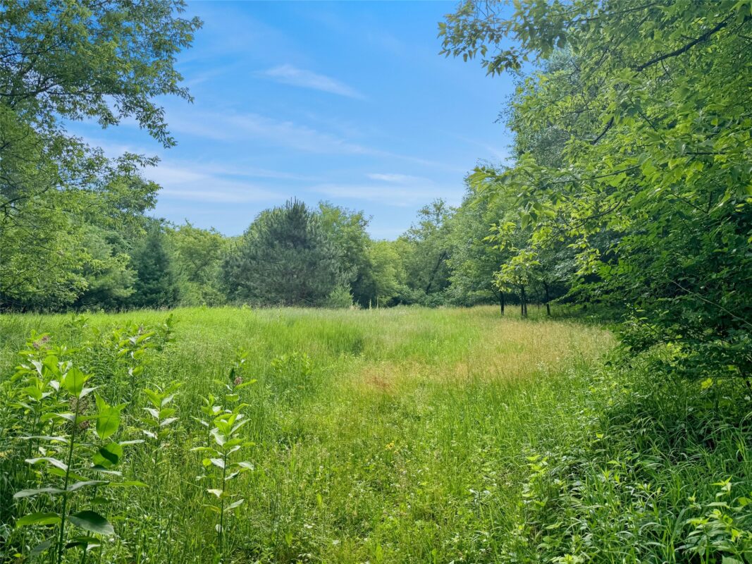 N8188 954th Street, Colfax WI 54730 - Land house for sale - MLS #1602761 - image13