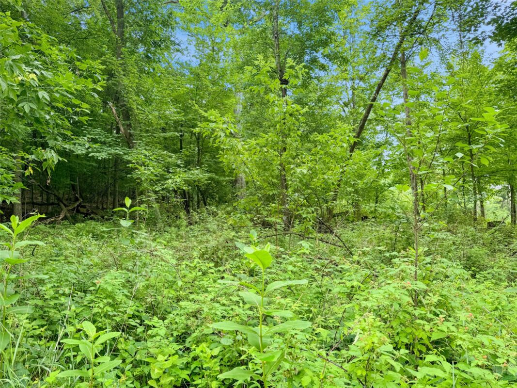 N8188 954th Street, Colfax WI 54730 - Land house for sale - MLS #1602761 - image15