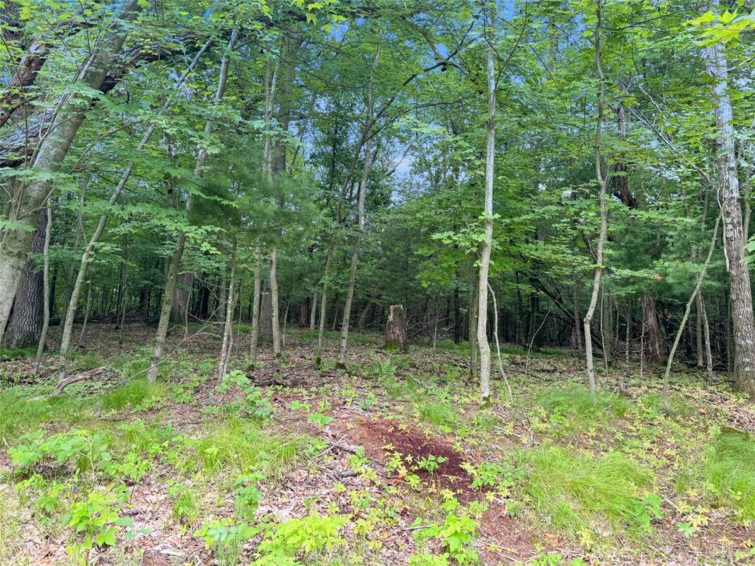 N8188 954th Street, Colfax WI 54730 - Land house for sale - MLS #1602761 - image7