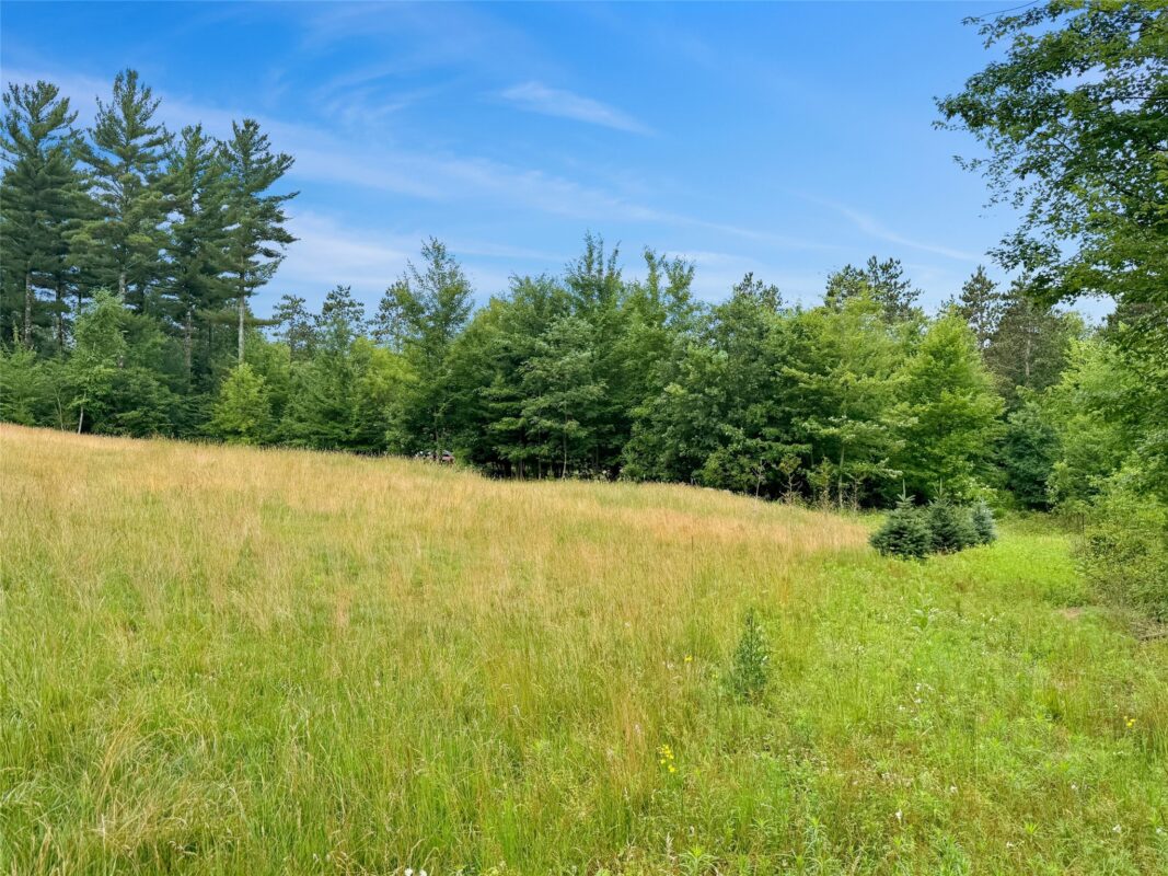 N8188 954th Street, Colfax WI 54730 - Land house for sale - MLS #1602761 - image8