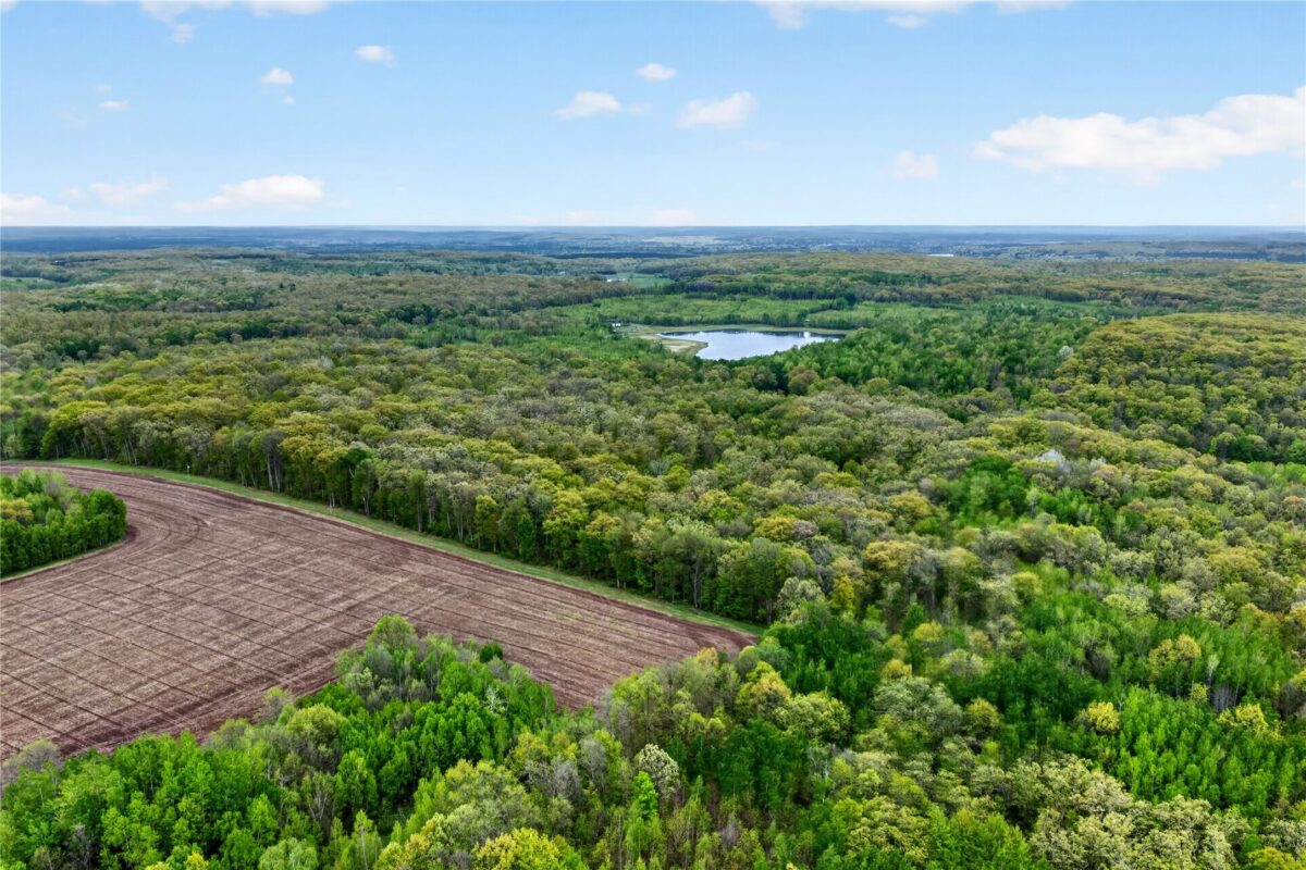 N8771 Fye Road, Trego WI 54888 - Residential house for sale - MLS #1601610 - image11