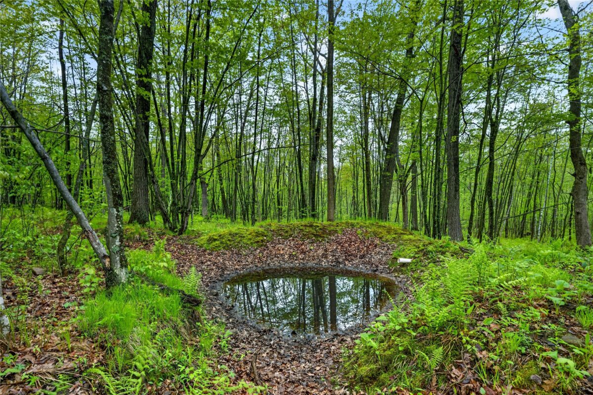 N8771 Fye Road, Trego WI 54888 - Land house for sale - MLS #1603147 - image11