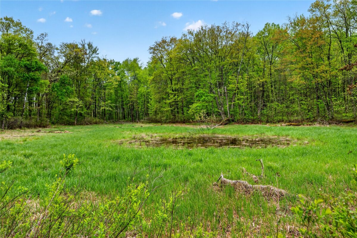 N8771 Fye Road, Trego WI 54888 - Residential house for sale - MLS #1601610 - image23