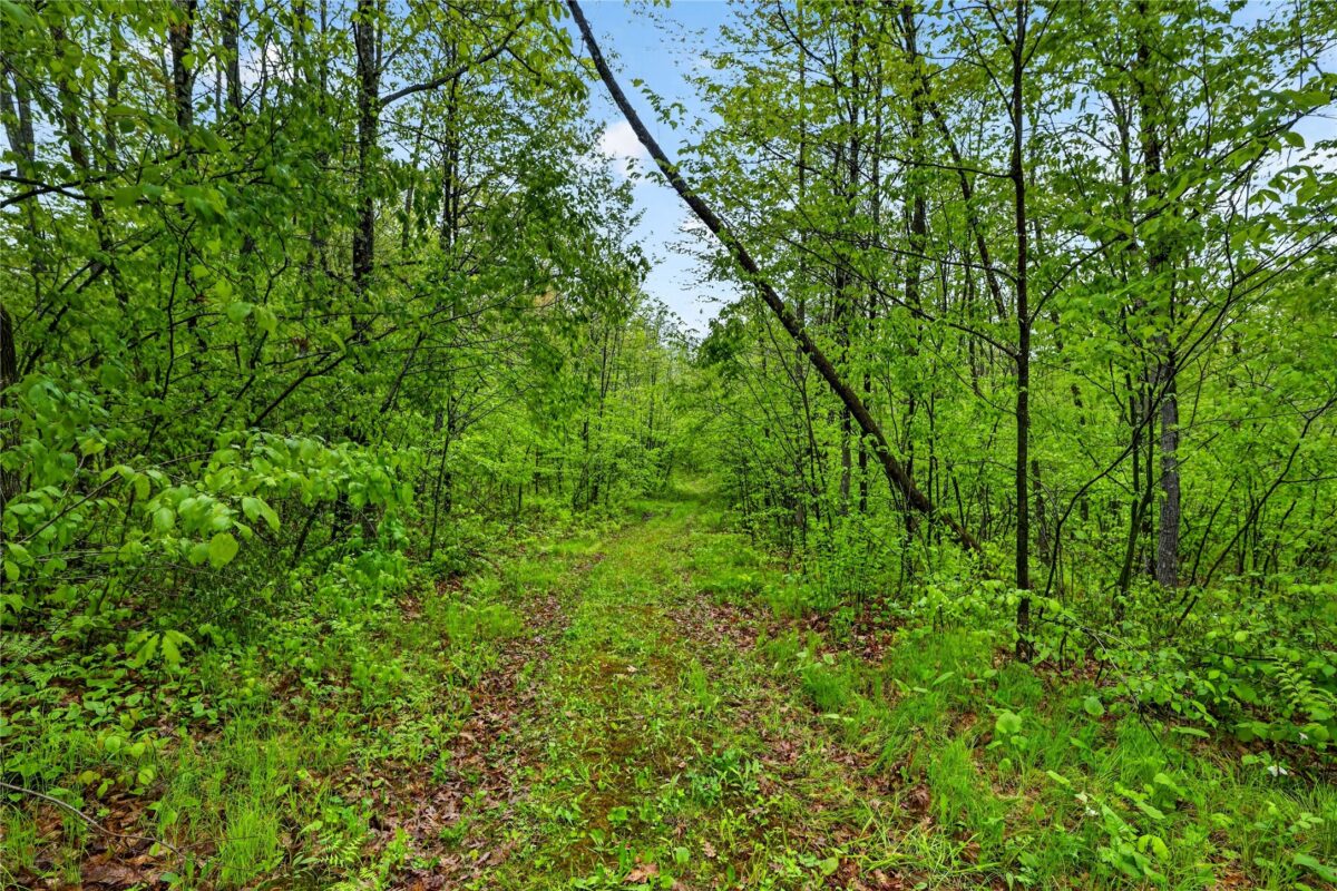 N8771 Fye Road, Trego WI 54888 - Land house for sale - MLS #1603147 - image24