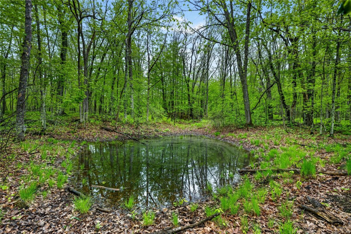 N8771 Fye Road, Trego WI 54888 - Land house for sale - MLS #1603147 - image27