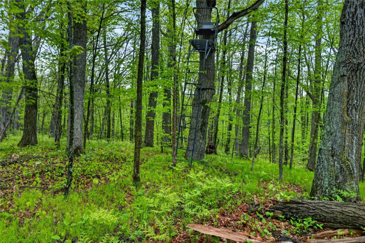 N8771 Fye Road, Trego WI 54888 - Land house for sale - MLS #1603147 - image28