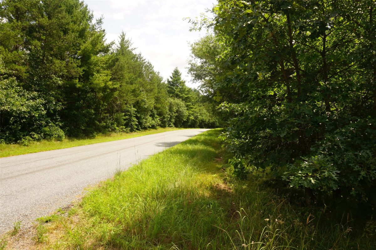 N9105 Flood Road, Black River Falls WI 54615 - Land house for sale - MLS #1603584 - image14