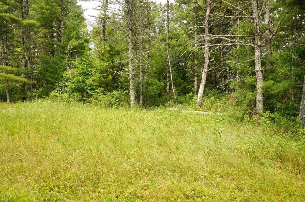 N9105 Flood Road, Black River Falls WI 54615 - Land house for sale - MLS #1603584 - image10