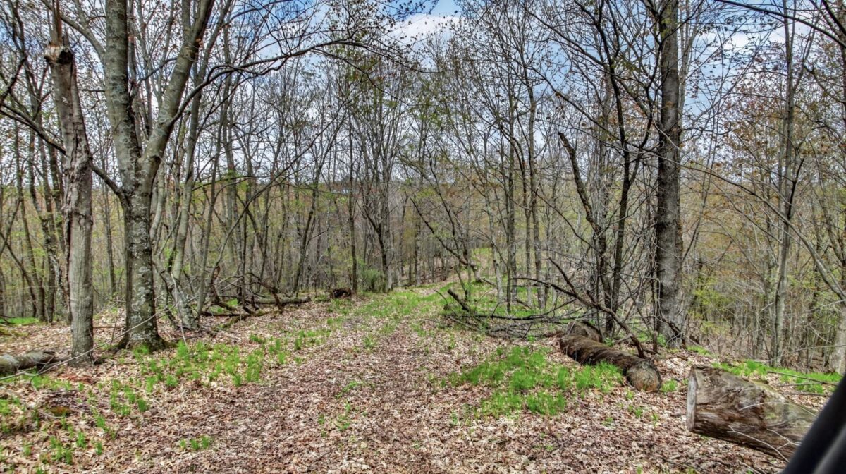 N9370 County Road P, Blair WI 54616 - Residential house for sale - MLS #1600694 - image41