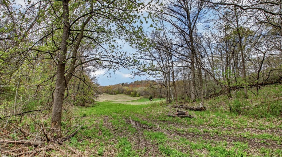 N9370 County Road P, Blair WI 54616 - Residential house for sale - MLS #1600694 - image48