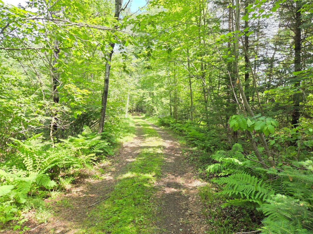 N9850 Woodland Lane, Phillips WI 54555 - Residential house for sale - MLS #1603048 - image16