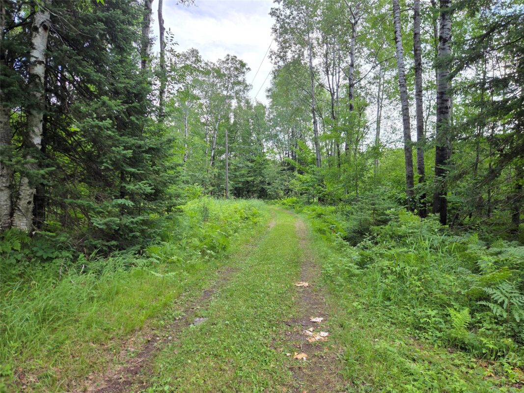 N9850 Woodland Lane, Phillips WI 54555 - Residential house for sale - MLS #1603048 - image17