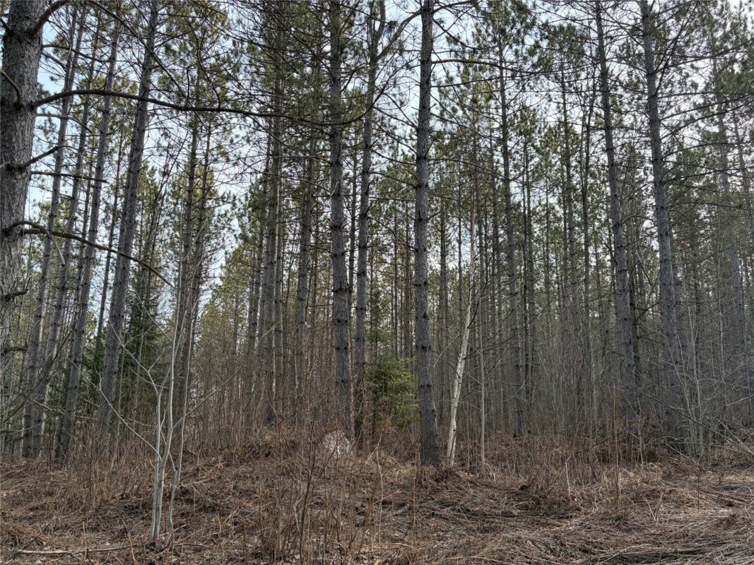 ON Barker Lake Road, Winter WI 54896 - Land house for sale - MLS #1599276 - image6