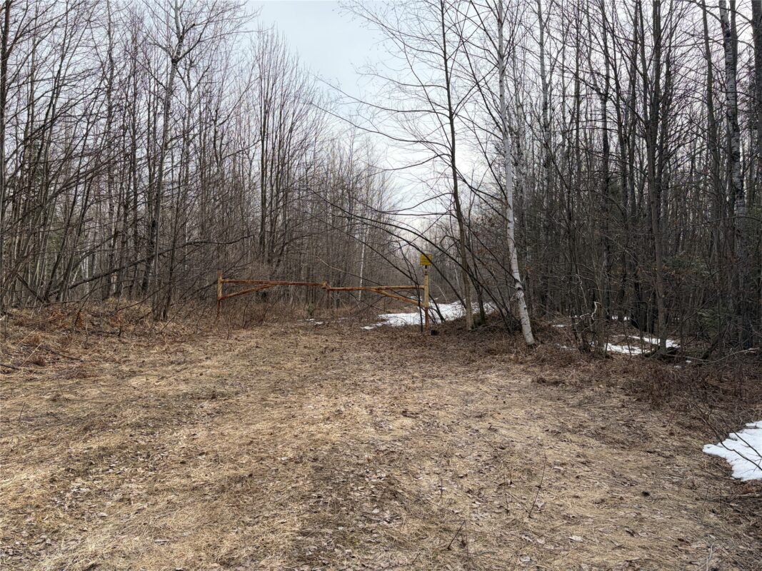 ON County Highway B, Winter WI 54896 - Land house for sale - MLS #1599277 - image3
