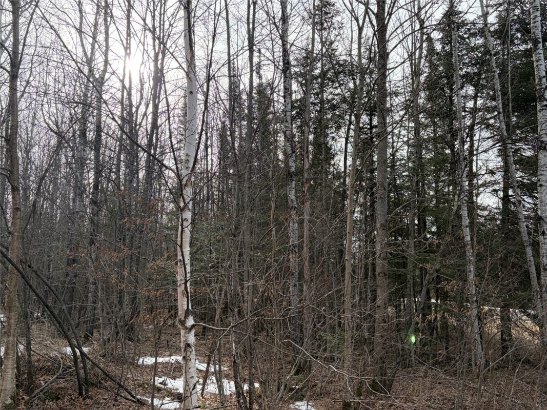 ON County Highway B, Winter WI 54896 - Land house for sale - MLS #1599277 - image5