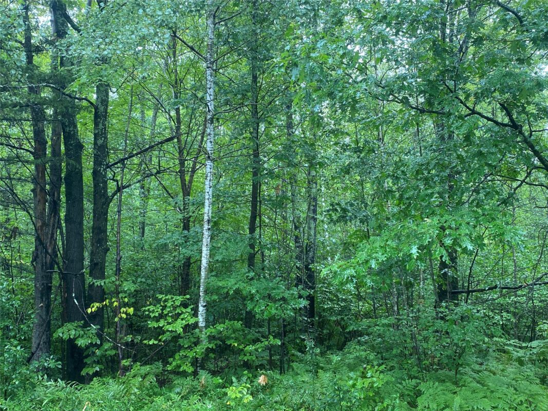 ON Pennington Road, Prentice WI 54556 - Land house for sale - MLS #1599132 - image5