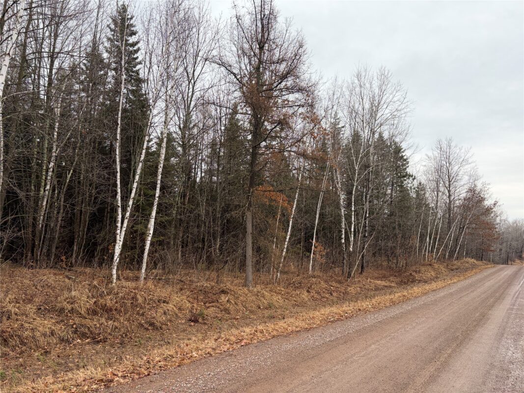 ON Sheep Camp Road, Ladysmith WI 54848 - Land house for sale - MLS #1599295 - image3