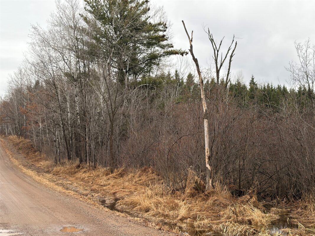 ON Sheep Camp Road, Ladysmith WI 54848 - Land house for sale - MLS #1599295 - image5