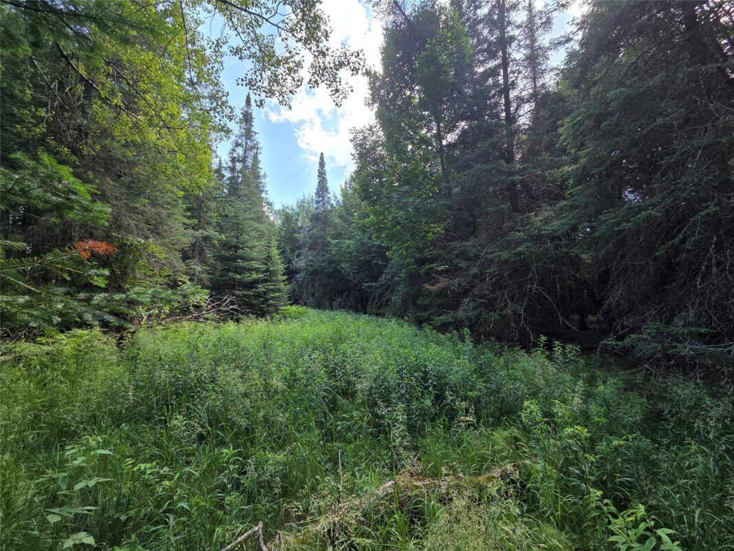 On Aspen Road, Phillips WI 54555 - Land house for sale - MLS #1602957 - image2