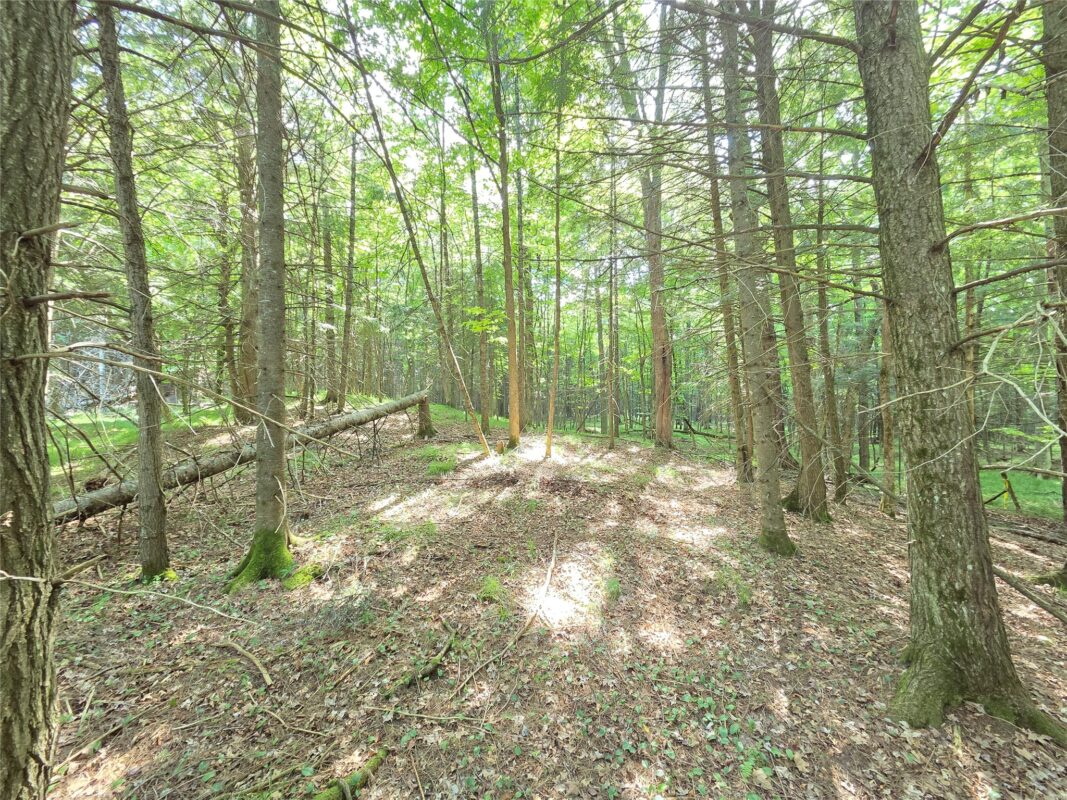 On Aspen Road, Phillips WI 54555 - Land house for sale - MLS #1602957 - image3