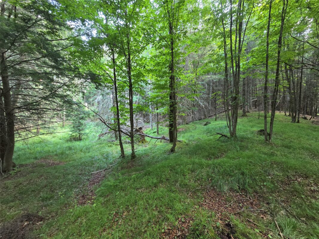 On Aspen Road, Phillips WI 54555 - Land house for sale - MLS #1602957 - image4
