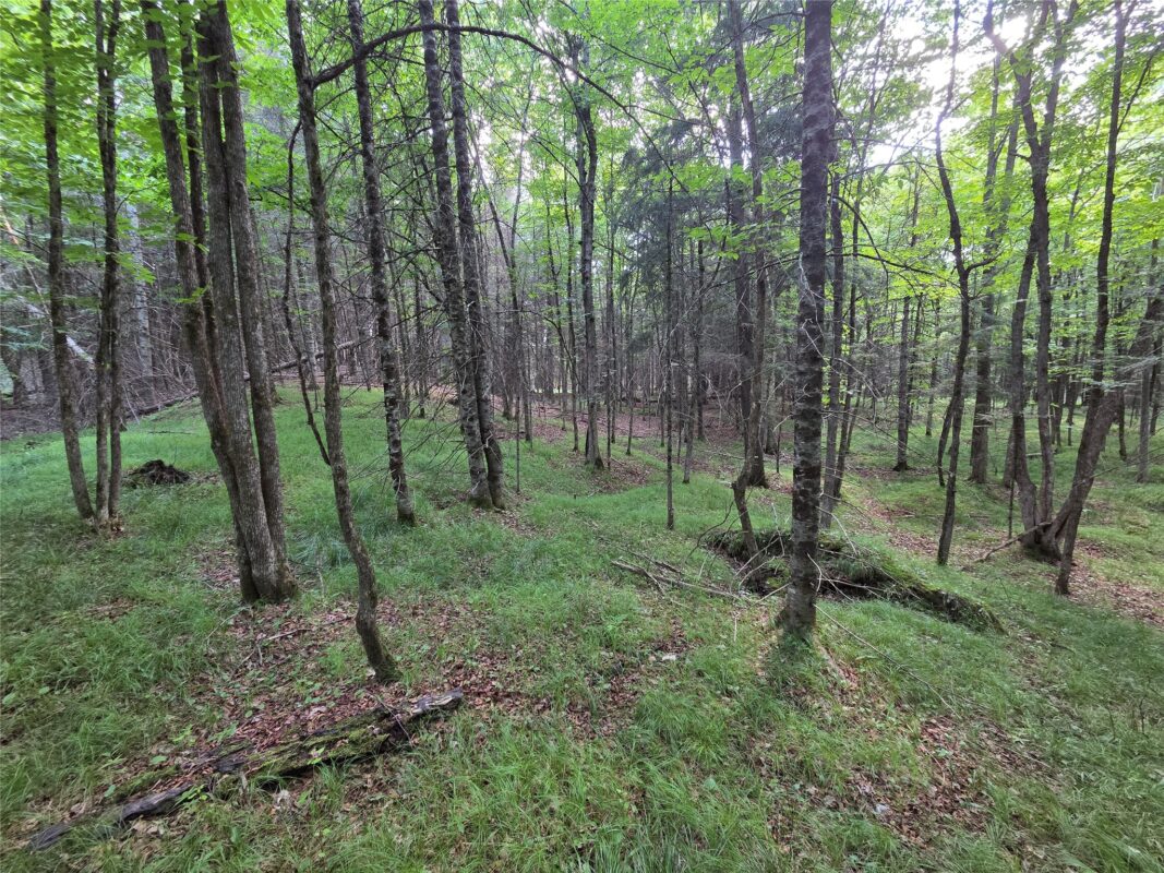 On Aspen Road, Phillips WI 54555 - Land house for sale - MLS #1602957 - image5