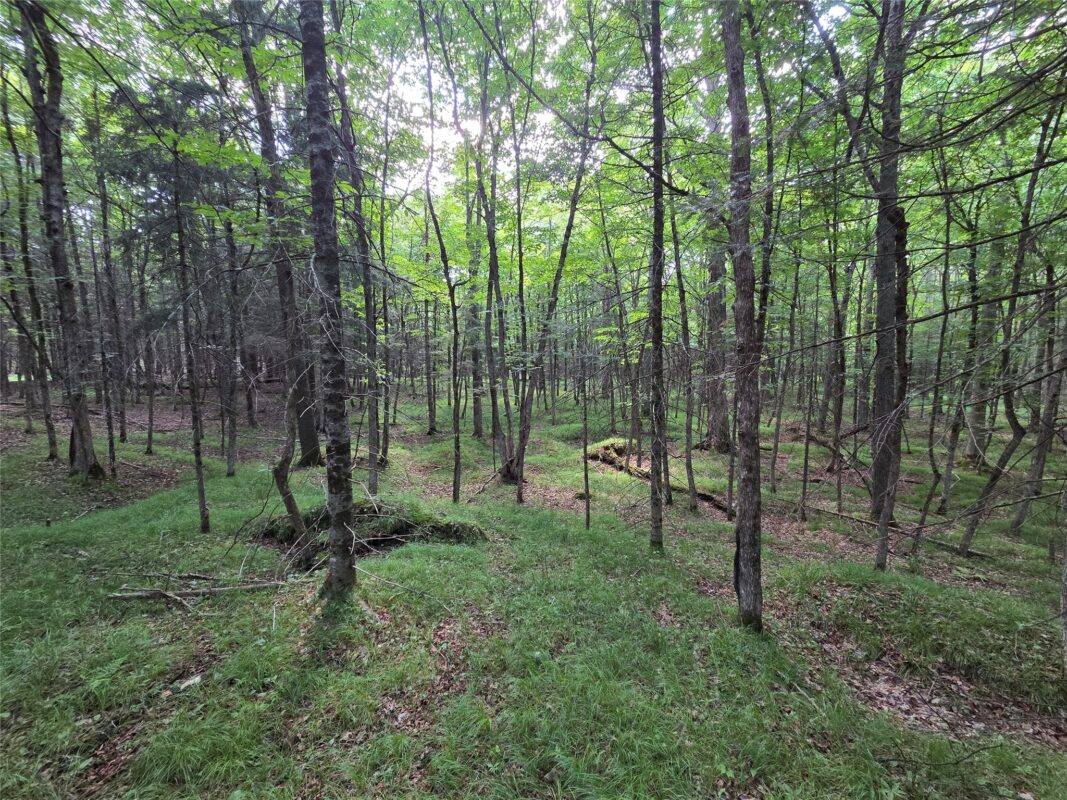 On Aspen Road, Phillips WI 54555 - Land house for sale - MLS #1602957 - image6