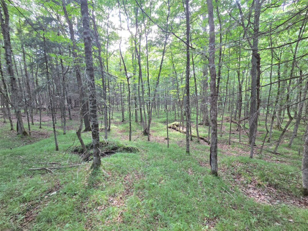 On Aspen Road, Phillips WI 54555 - Land house for sale - MLS #1602957 - image7