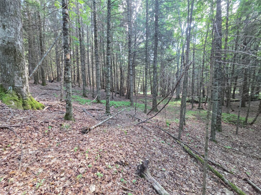 On Aspen Road, Phillips WI 54555 - Land house for sale - MLS #1602957 - image8