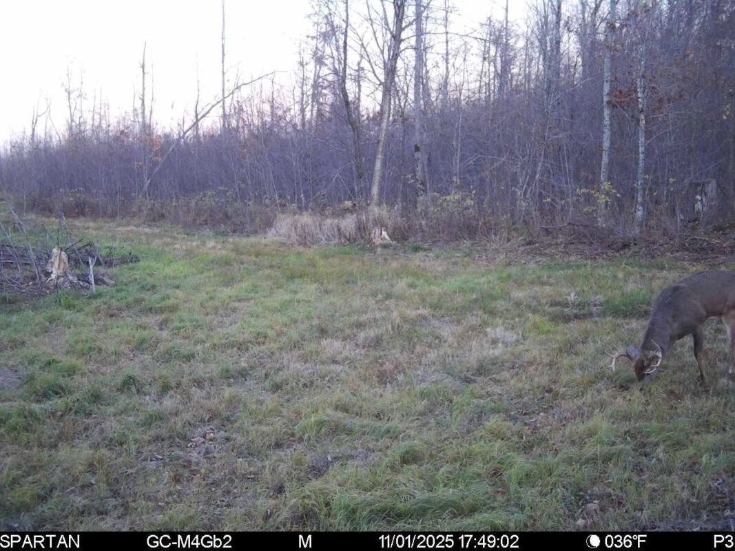 On County Road H, Radisson WI 54867 - Land house for sale - MLS #1603350 - image18