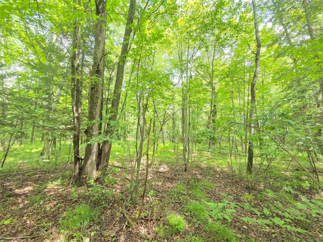 On Woodland Lane, Phillips WI 54555 - Land house for sale - MLS #1603047 - image2