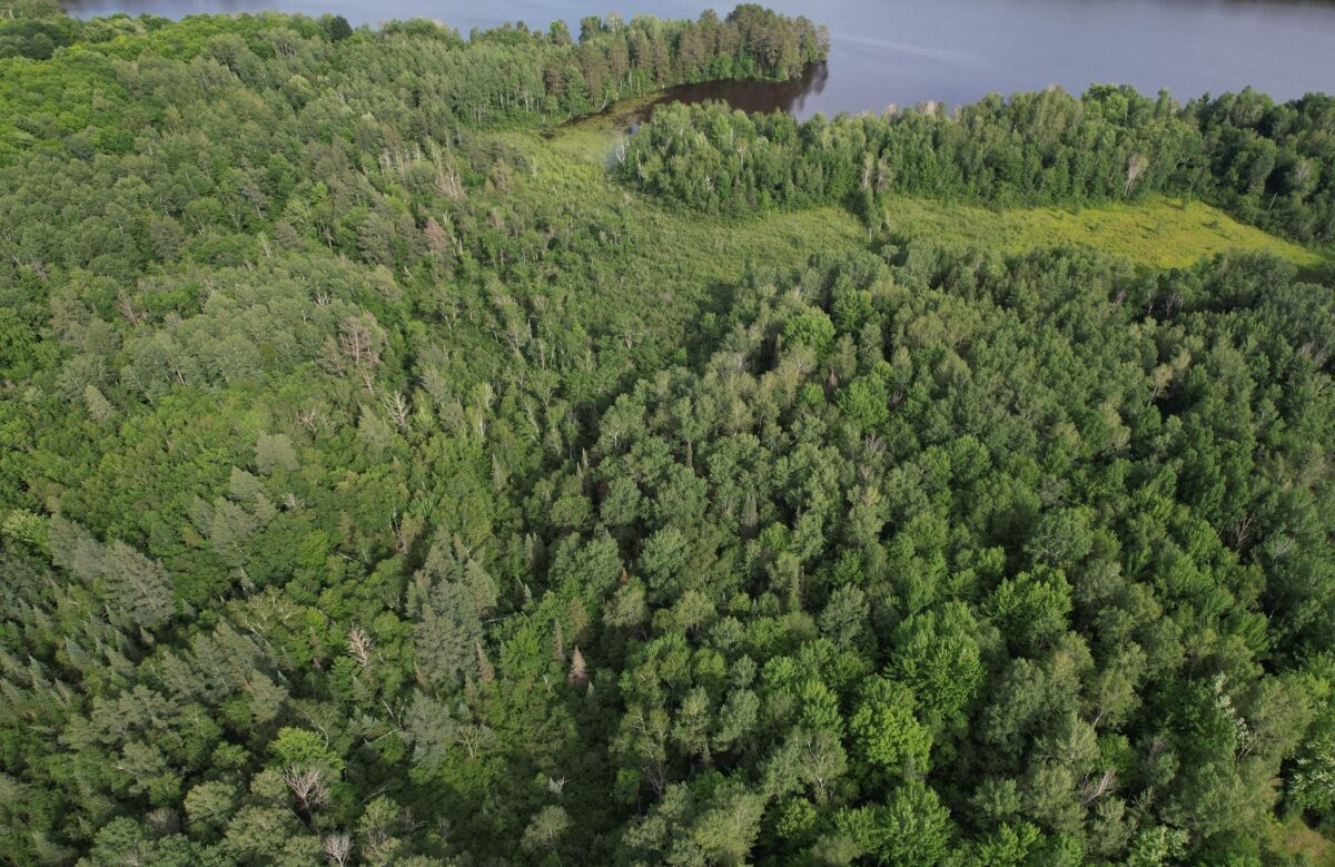 On Woodland Lane, Phillips WI 54555 - Land house for sale - MLS #1603047 - image3