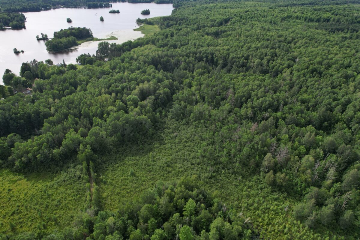 On Woodland Lane, Phillips WI 54555 - Land house for sale - MLS #1603047 - image5