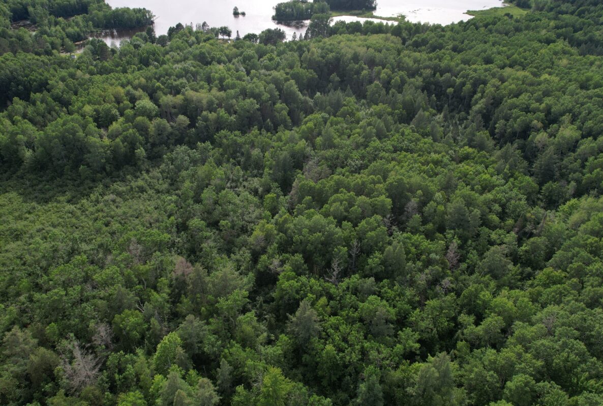On Woodland Lane, Phillips WI 54555 - Land house for sale - MLS #1603047 - image6