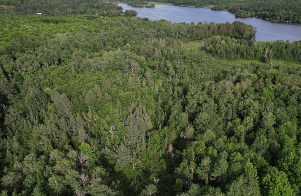 On Woodland Lane, Phillips WI 54555 - Land house for sale - MLS #1603047 - image7