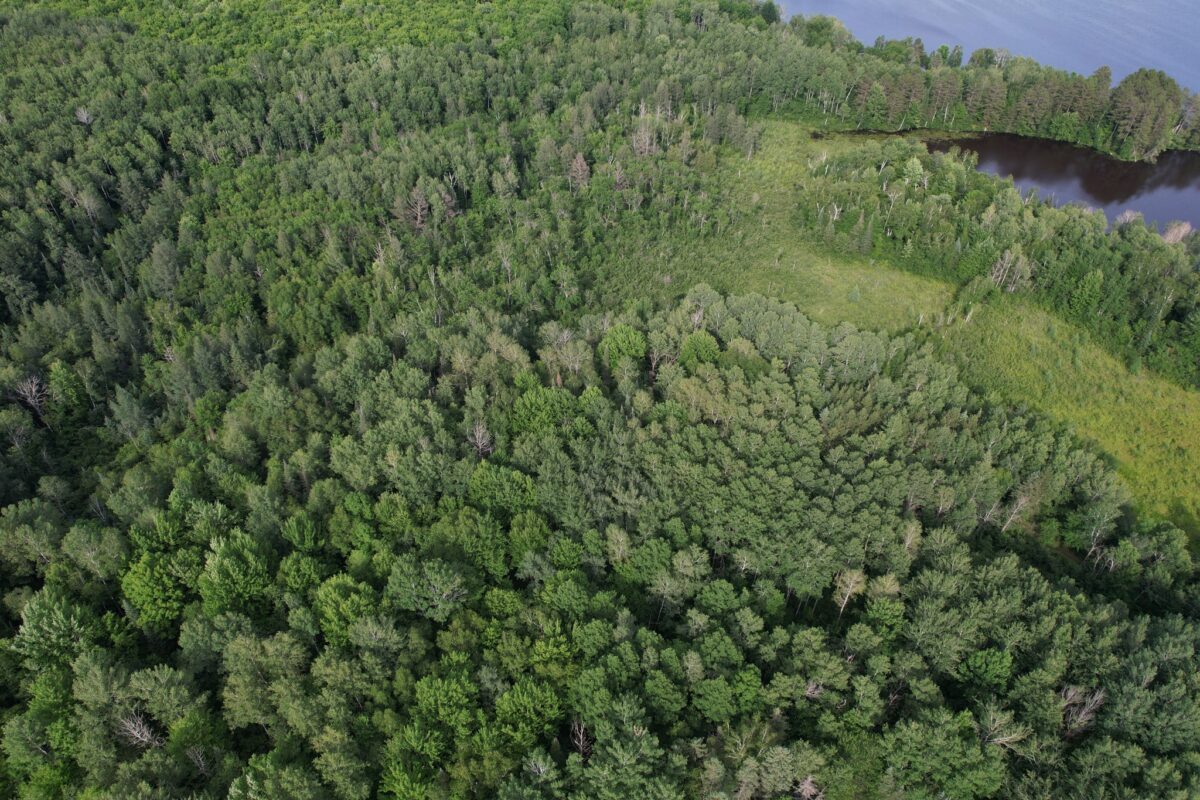 On Woodland Lane, Phillips WI 54555 - Land house for sale - MLS #1603047 - image8