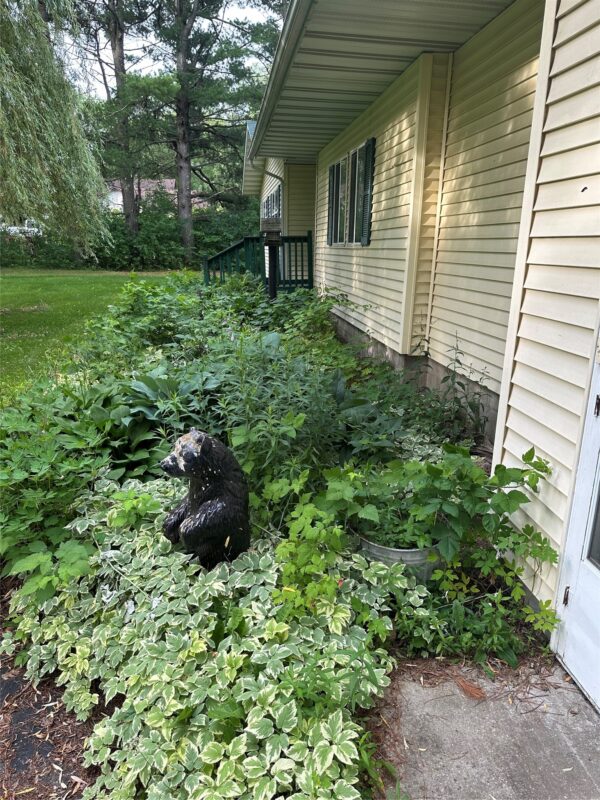 S15876 Townline Road, Fairchild WI 54741 - Residential house for sale - MLS #1602711 - image8