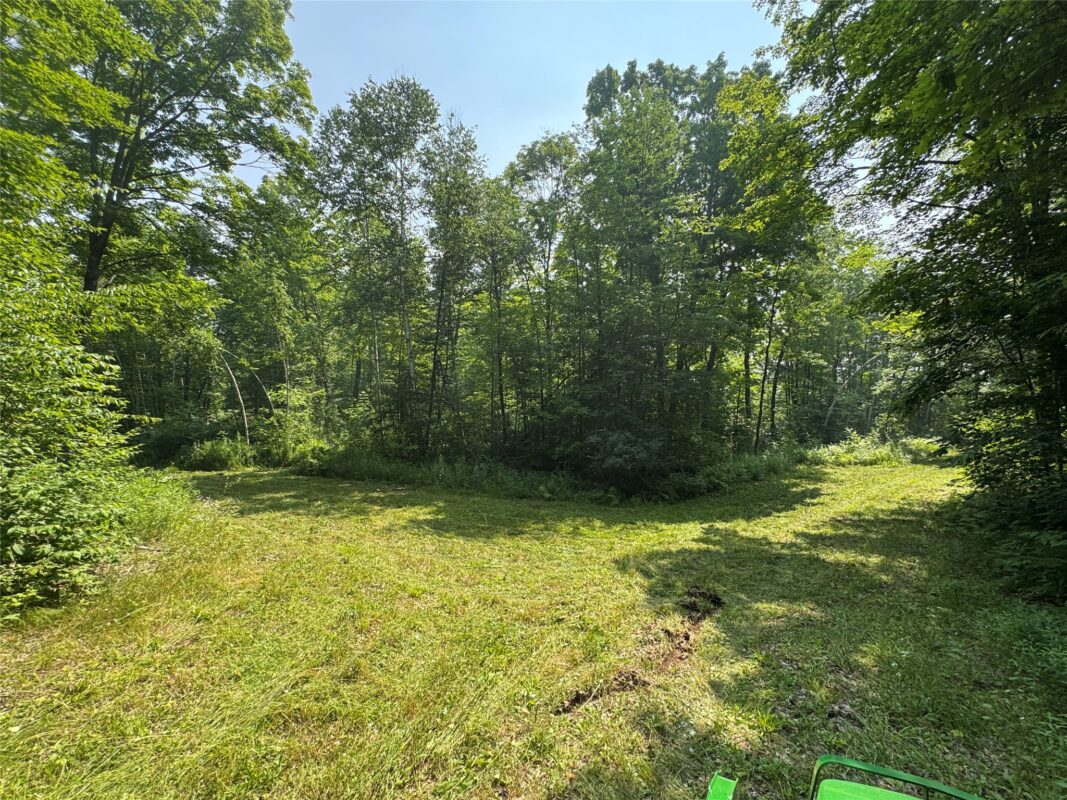, Summit Lake WI 54485 - Land house for sale - MLS #1603386 - image2