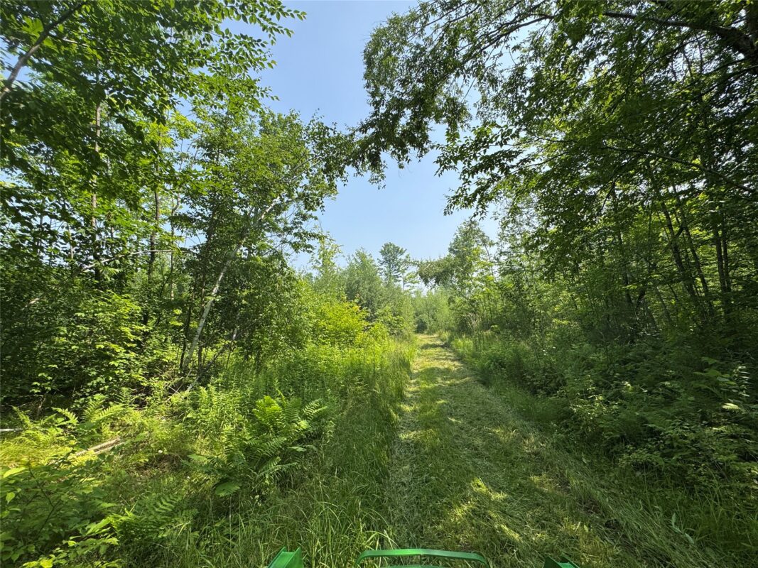 , Summit Lake WI 54485 - Land house for sale - MLS #1603386 - image3